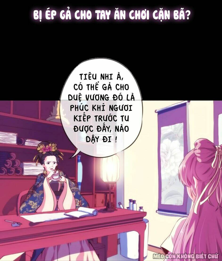 ồ, sủng phi đại nhân của ta chapter 0 17