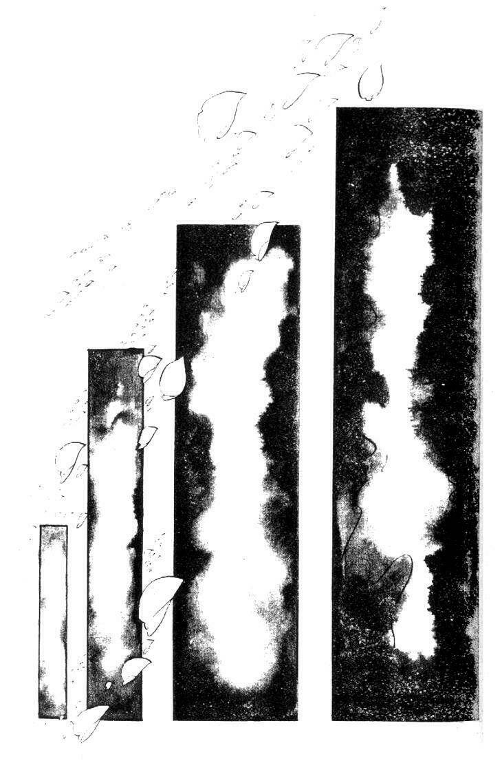 the count s daughter chapter 3 36