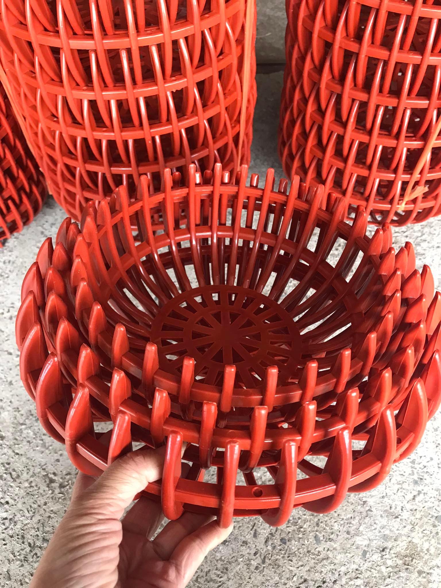 Chậu nhựa HD Giả Bí trồng Lan F25 - Màu Cam
