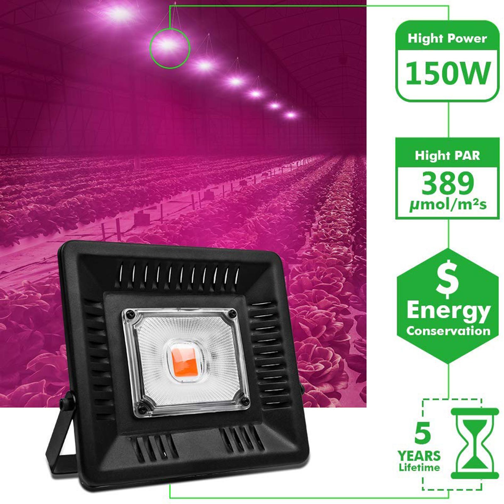 Đèn led kích thích cây trồng phát triển 150W với Ánh sáng Grow Full Spectrum tốt nhất, chip LED hiệu quả cao,khả năng chống thấm nước và chống bụi IP67