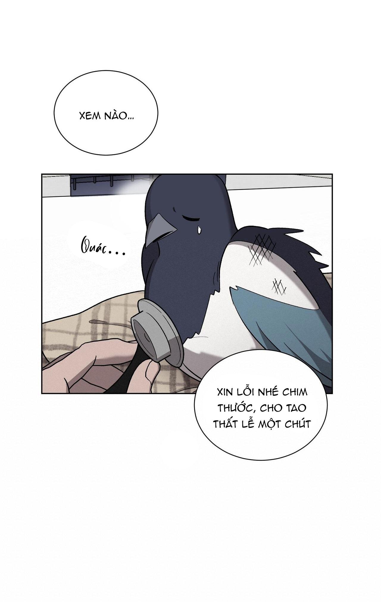 khi chim thước đến chapter 13 22