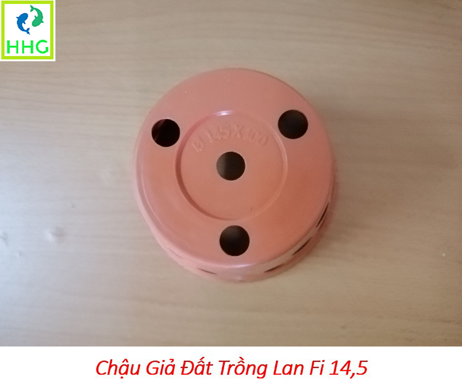 5 chậu giả đất trồng lan Fi 14.5 - đường kính 14.5cm