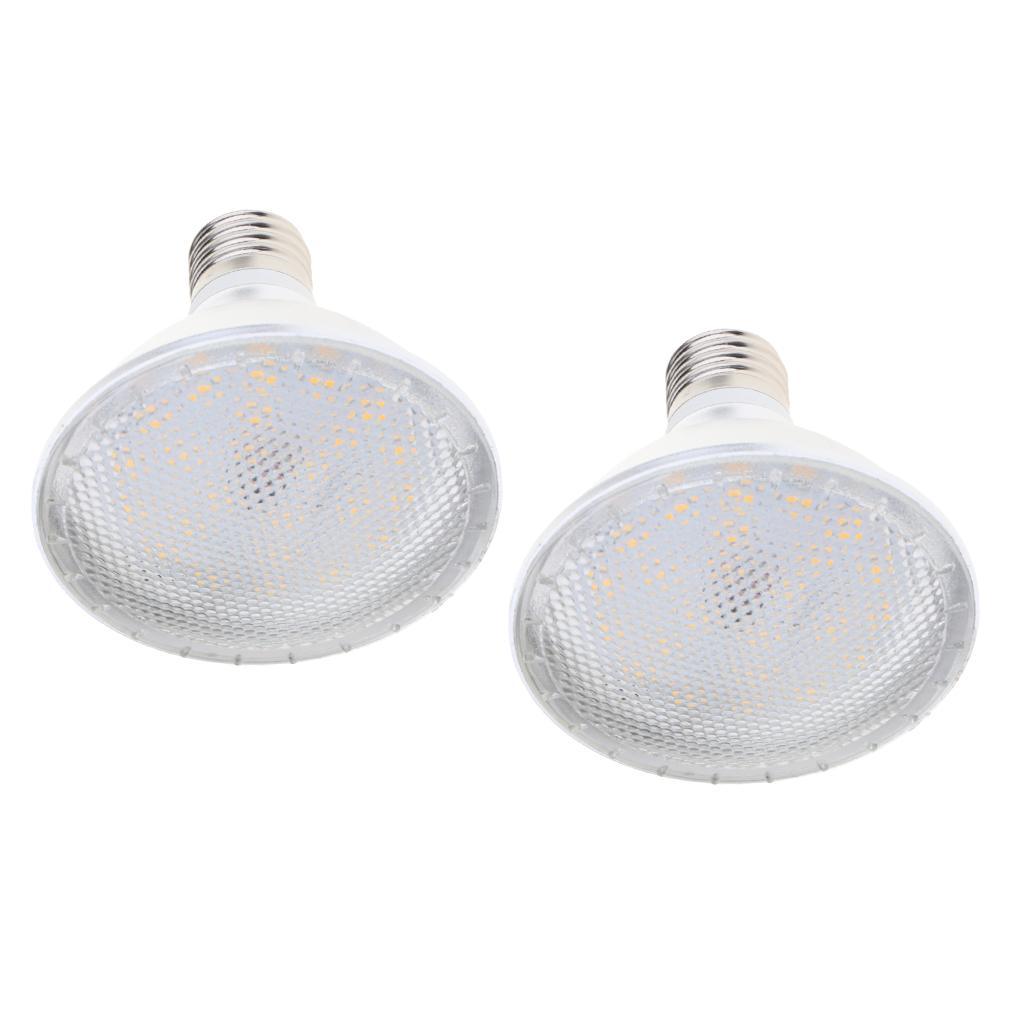 2x E27 10W PAR30 3000K / 6000-6500K LED Bulb Replacement Bulb