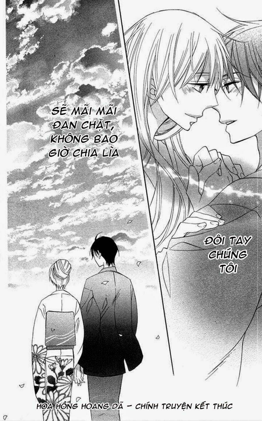 hoa hồng hoang dã chapter 8 39