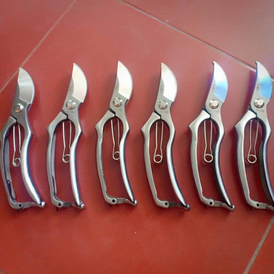 Kéo Cắt Cành Thép Trắng Đúc Nguyên Khối CN Nhật Bản , Thép Trắng Chống Sự Ăn Mòn Tốt Của Môi Trường - JA68