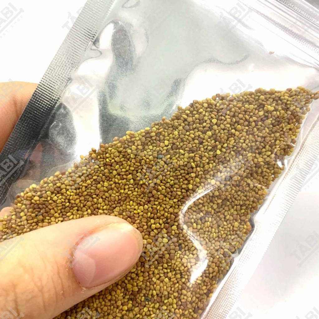 Hạt Giống Thuỷ Sinh - Cây Trồng Thuỷ Sinh