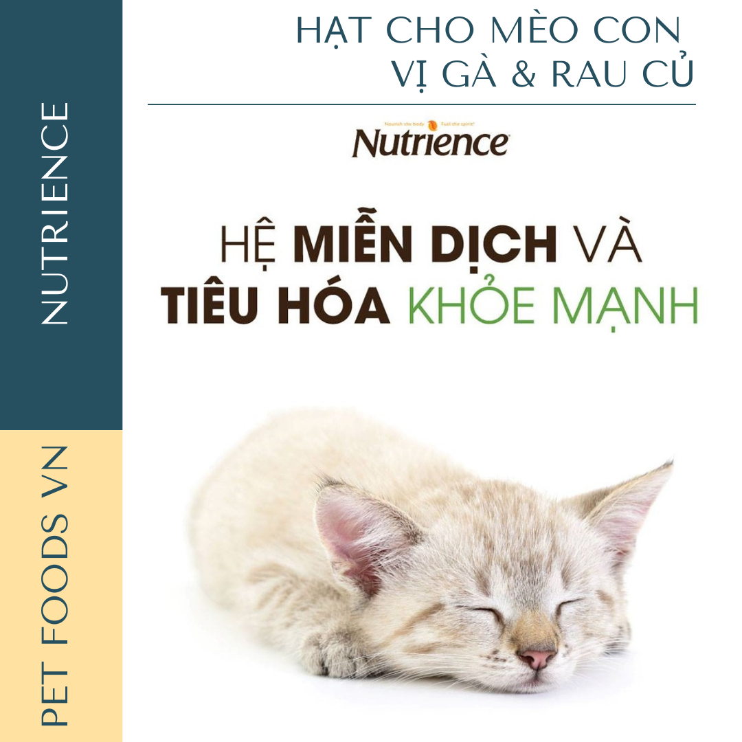 Hạt cho mèo con NUTRIENCE Infusion Kitten vị Gà &amp; Rau củ