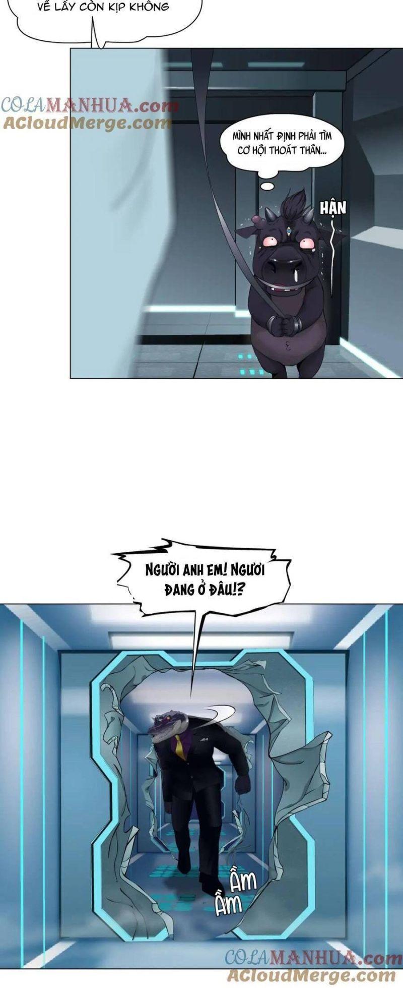 đằng nữ chapter 205 12