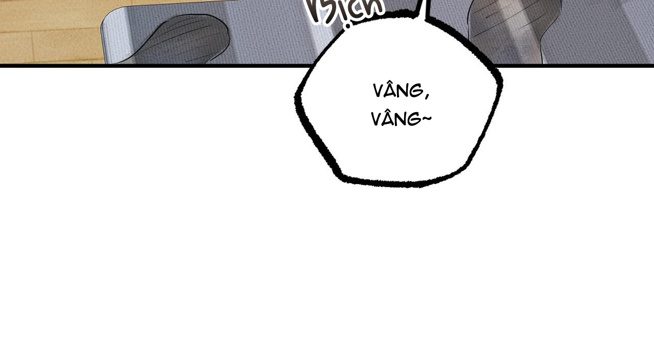 đàn thỏ của habibi chapter 36 167