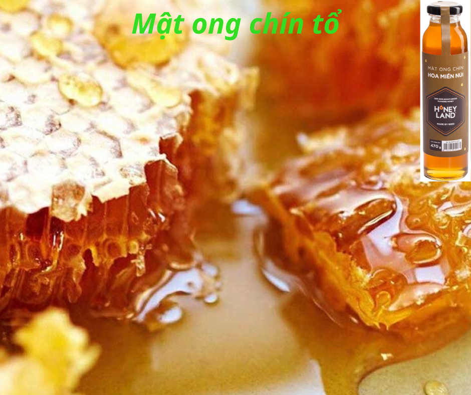 Combo 3 chai mật ong Chín hoa Miền Núi tặng 4 chai điện biên Honeyland mật ong nguyên chất