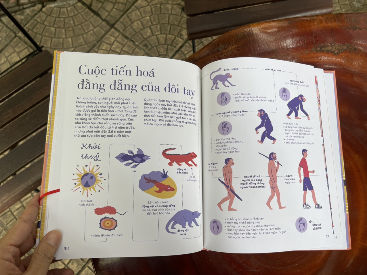 TỎ TƯỜNG TAY TA – Bách khoa toàn thư về đôi tay - Vítězslav Mecner - Magda Garguláková - Thư Vũ dịch - San Hô Books – NXB Thanh niên