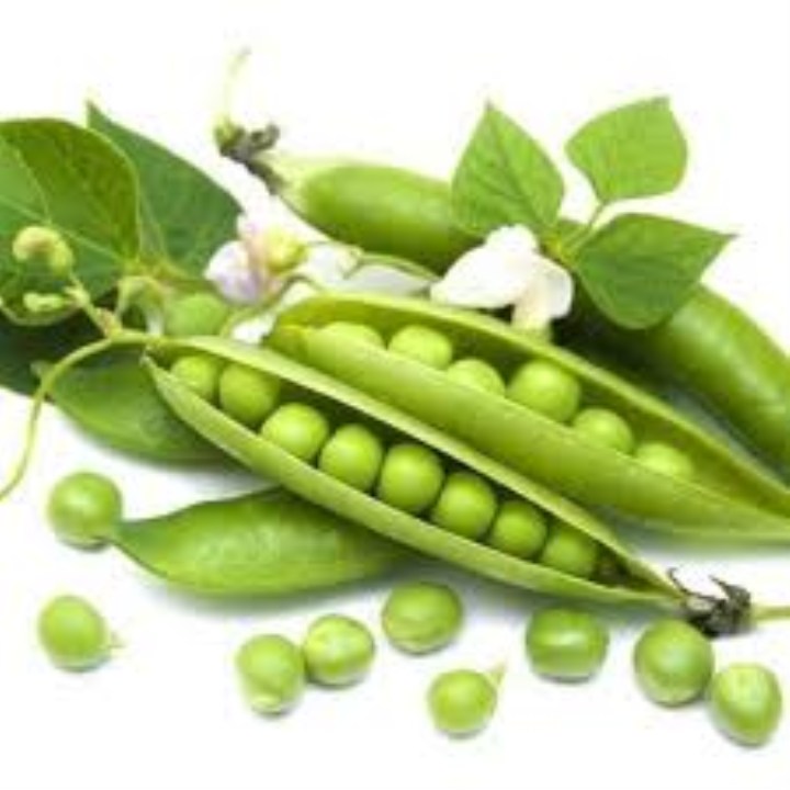 25 gram hạt giống đậu hà lan có thể ăn lá và lấy quả