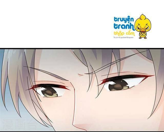 chọc tới chủ tịch tổng tài 2 chapter 34 5