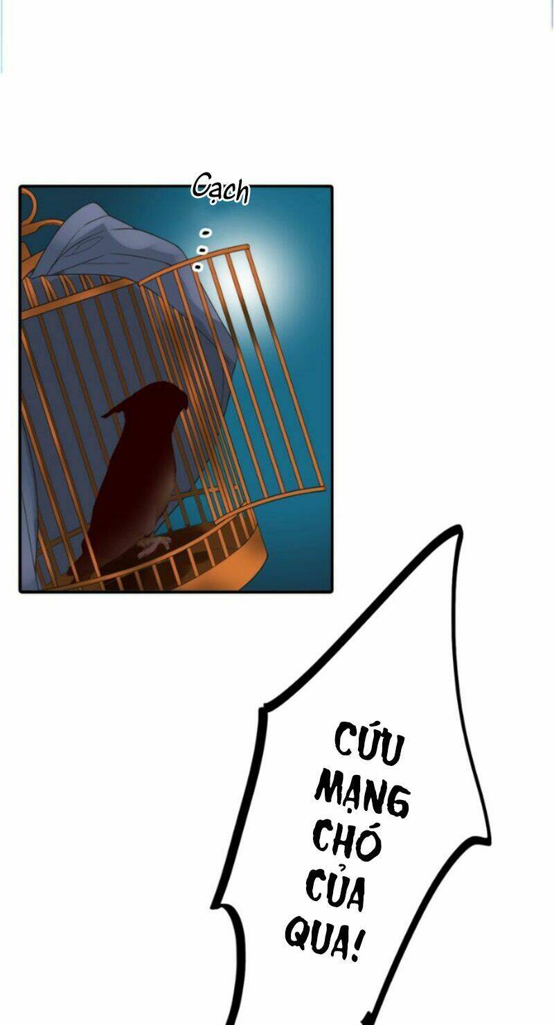 cướp chàng vợ về đón năm mới chapter 22 28