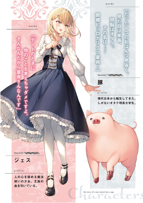 Sách ngoại văn: Buta No Reba Wa Kanetsu Shiro 4 (Japanese Edition)