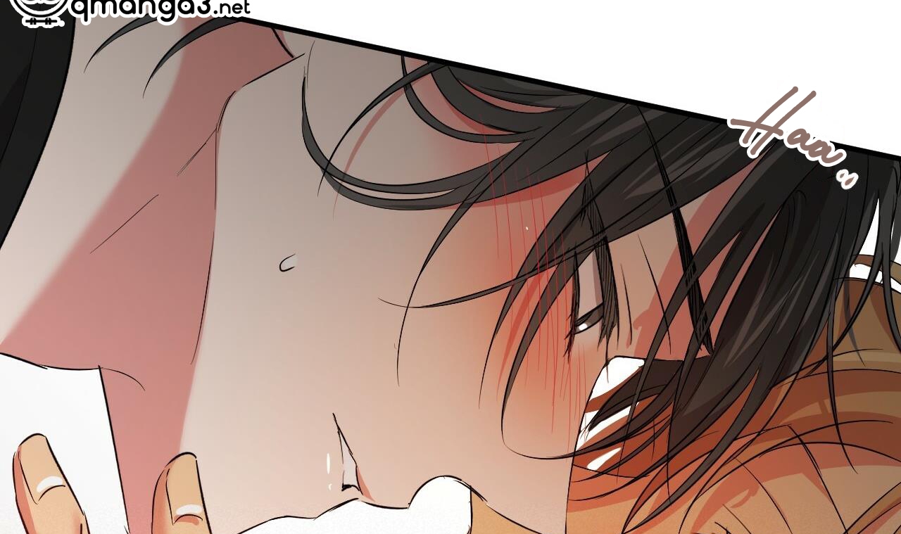 những chú thỏ của hapypy chapter 53 221