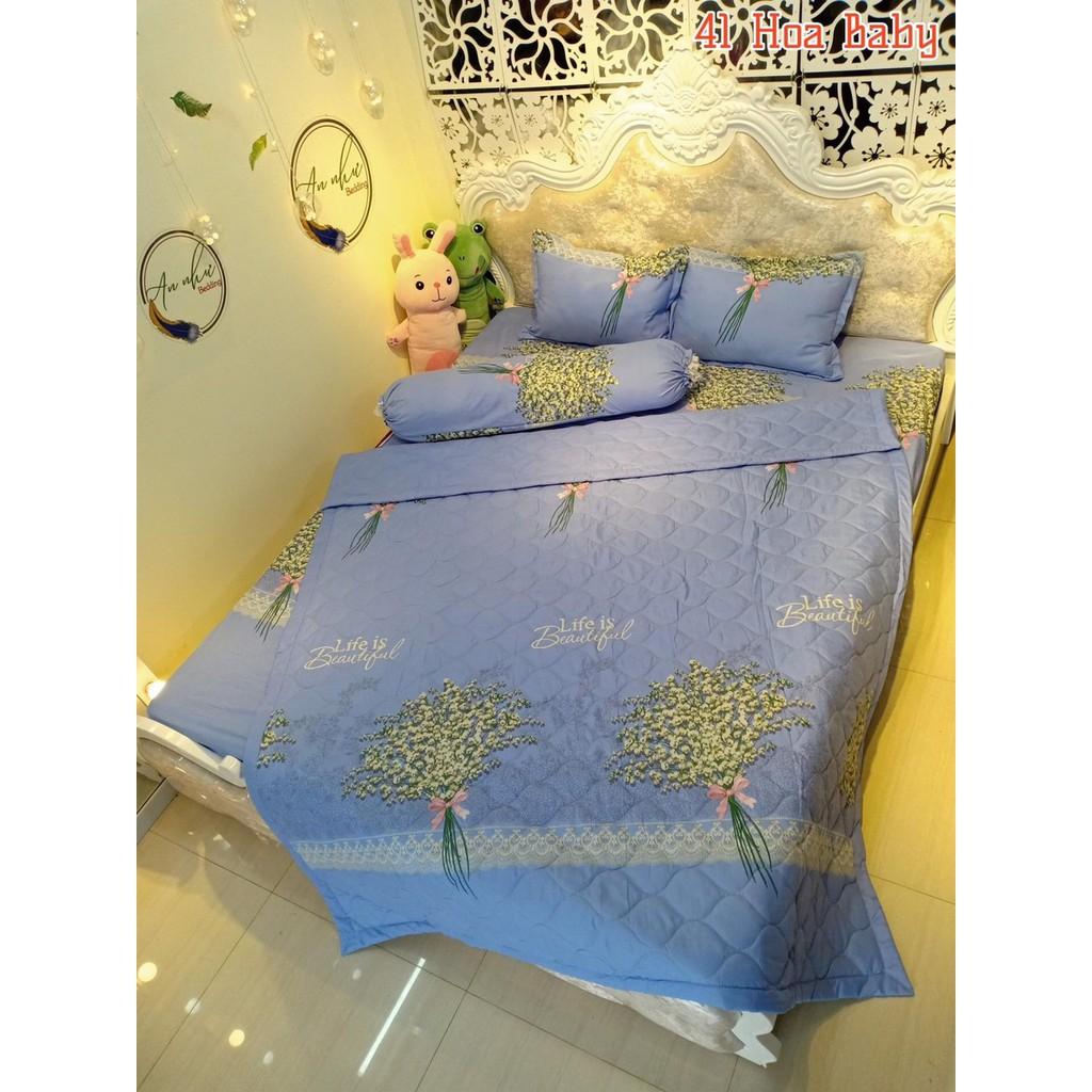 COMBO 2 BỘ GA GỐI MẪU NGỰA BAY