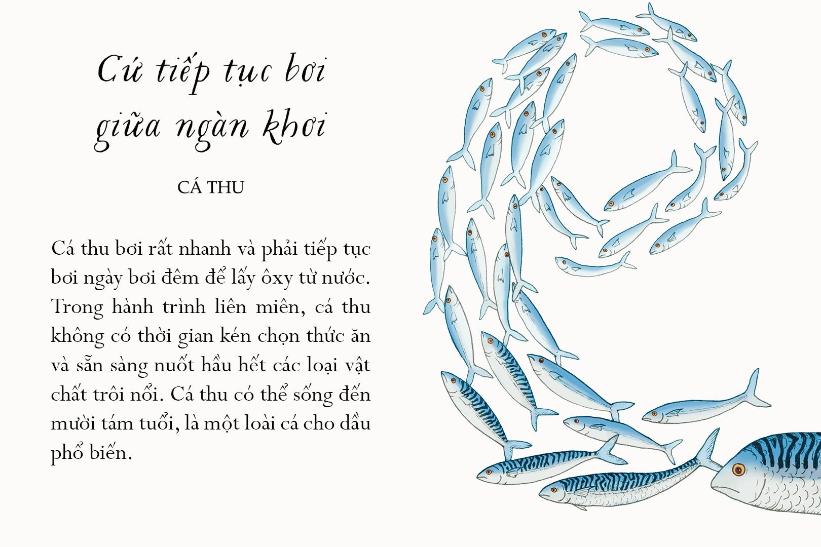 Sách Sống Một Đời Tựa Biển Khơi - Những Bài Học Trí Tuệ Nhẹ Nhàng Sâu Lắng Của Đại Dương