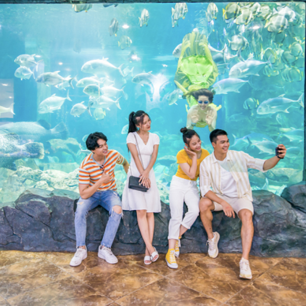 Vé vào cửa người lớn tại Thủy Cung Aquarium - Áp dụng cho khách hàng từ 140 cm trở lên (T7, CN, Lễ)