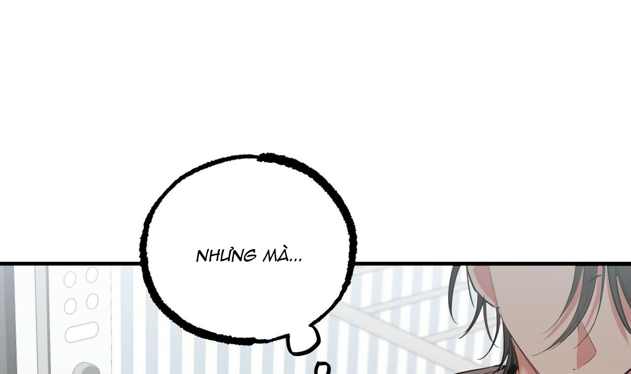 đàn thỏ của habibi chapter 39 44