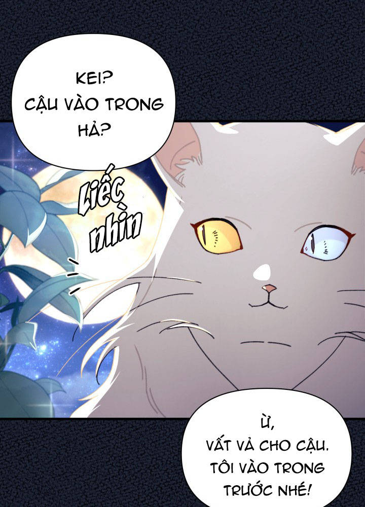 tôi đã kết hôn khi tôi tìm thấy nam chính chapter 15 69