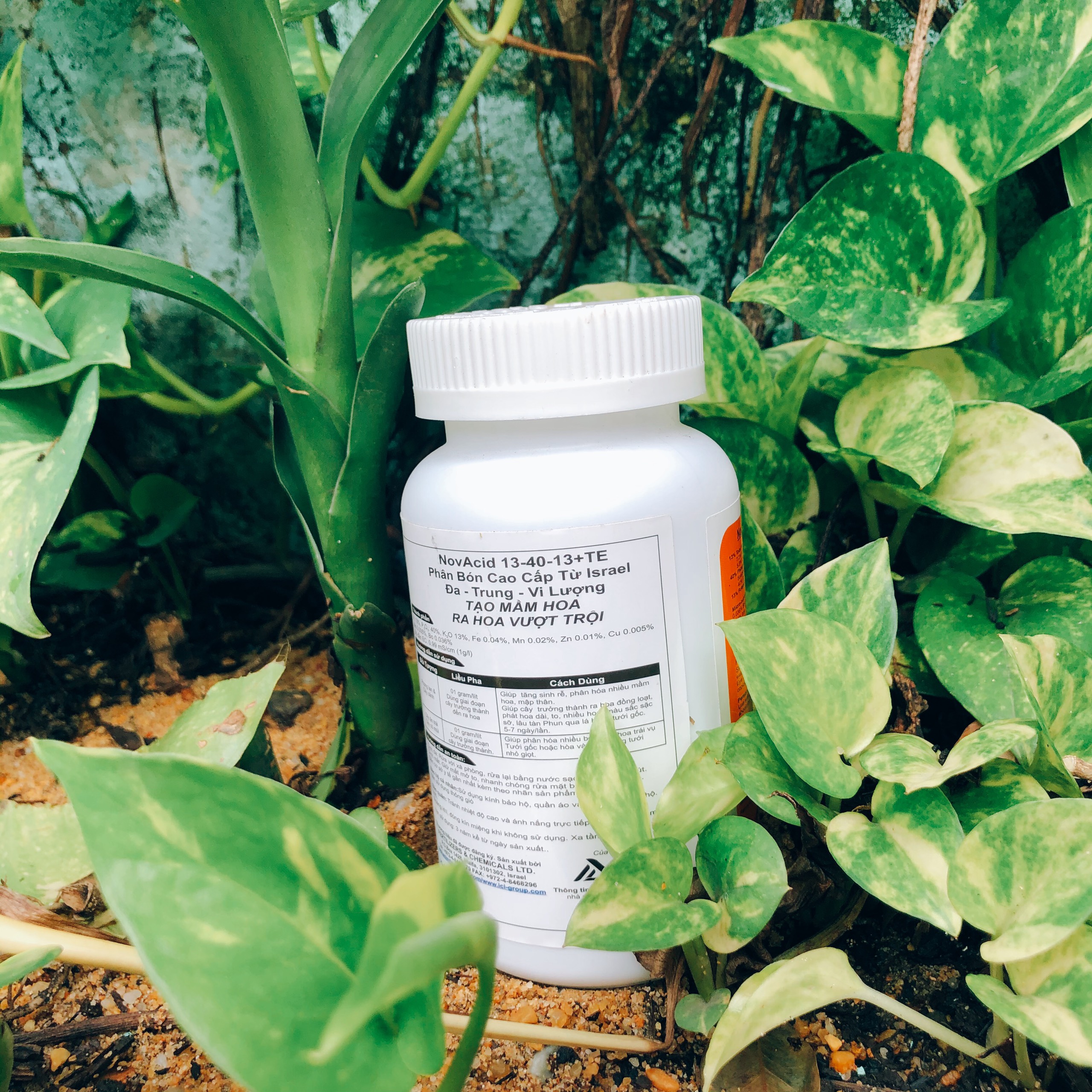 Phân bón hòa tan Israel NPK NovAcid