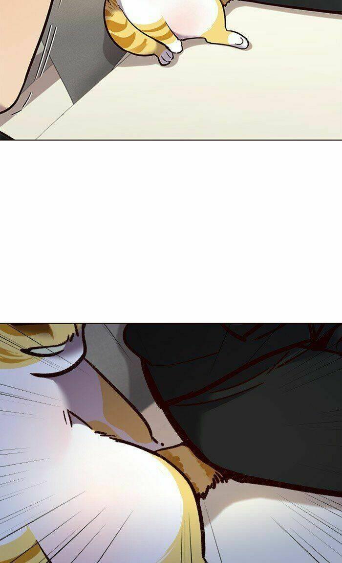 biến thân thành mèo chapter 82 40