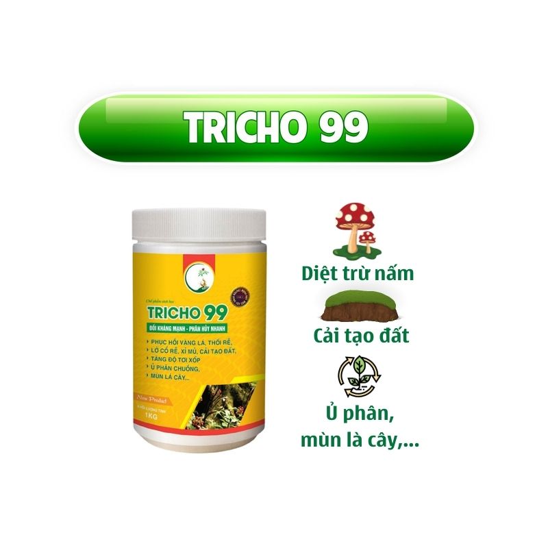 Chế Phẩm Trừ Bệnh Sinh Học Ecom Chuyên Dùng Cho Sâm Ngọc Linh Đối Kháng Mạnh, Phân Hủy Nhanh – Tricho 99