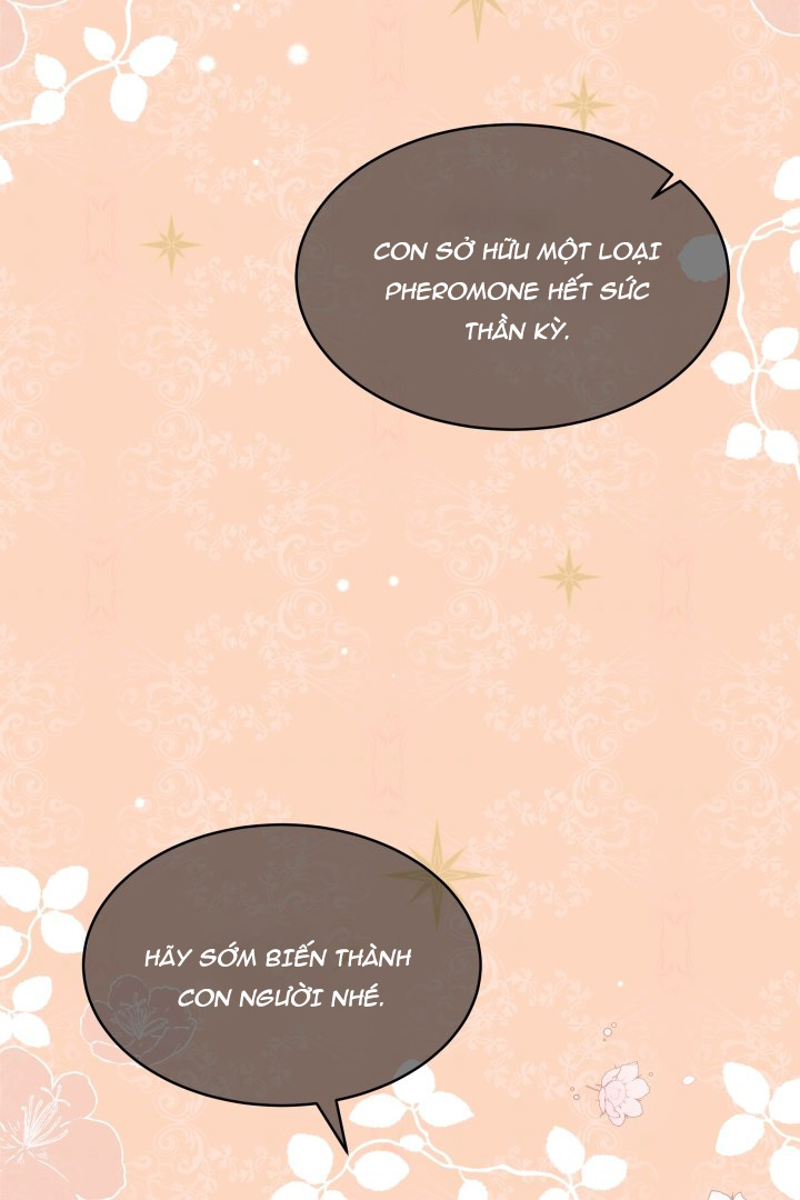 mối liên kết giữa báo đen và bé thỏ chapter 41.1 4