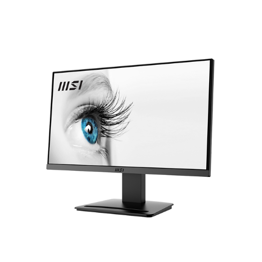 Màn Hình MSI Pro MP223 21.45 Inch ( VA/FHD/100Hz/1ms ) - Hàng Chính Hãng