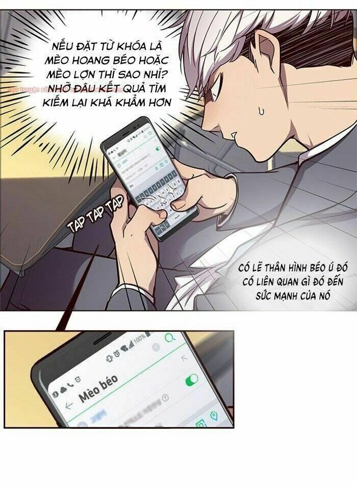 biến thân thành mèo chapter 48 17