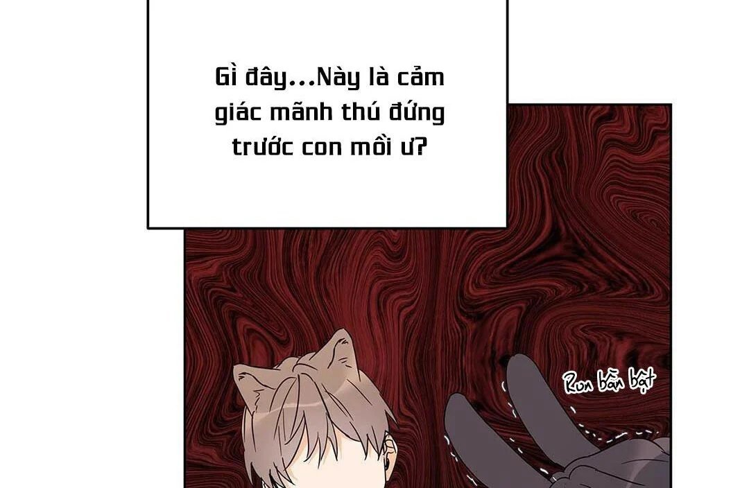 guide cấp b chapter 15 109