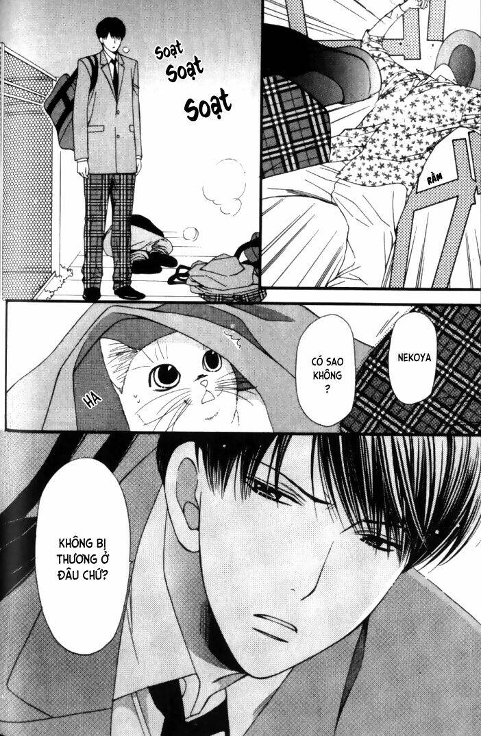 neko neko honey chapter 6 26