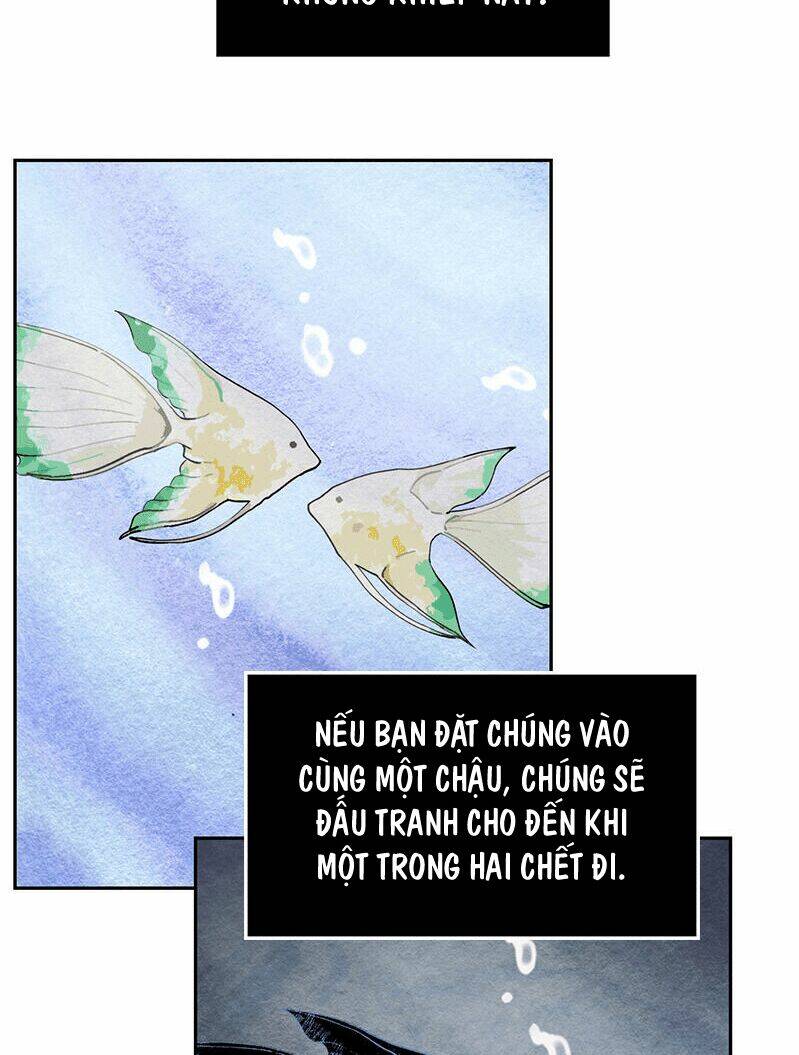 khế ước của ma tộc chapter 8 17