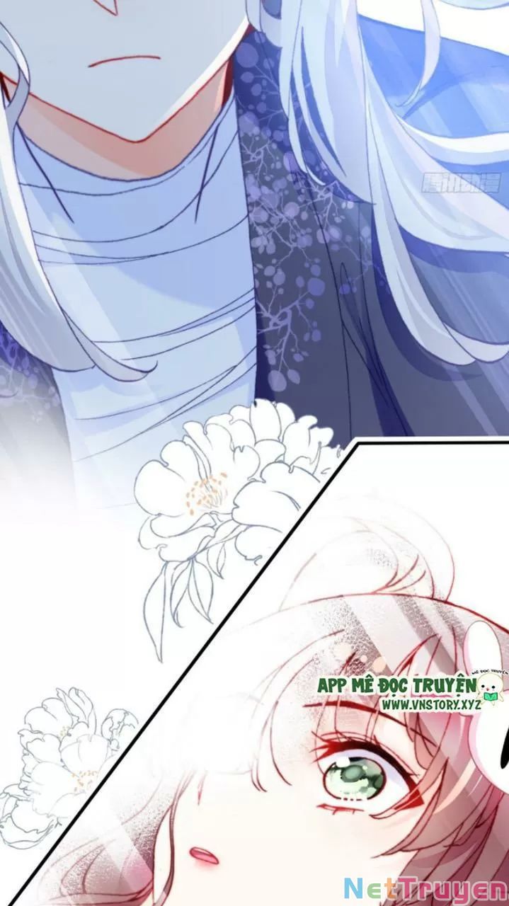 lại bị bệnh chiều chuộng quấn lấy chapter 25 24