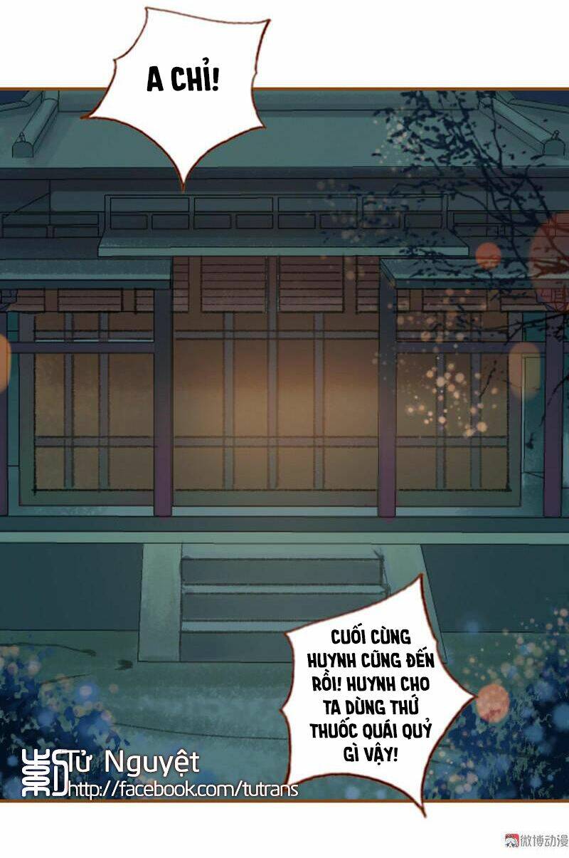 phượng tù hoàng chapter 37.1 13