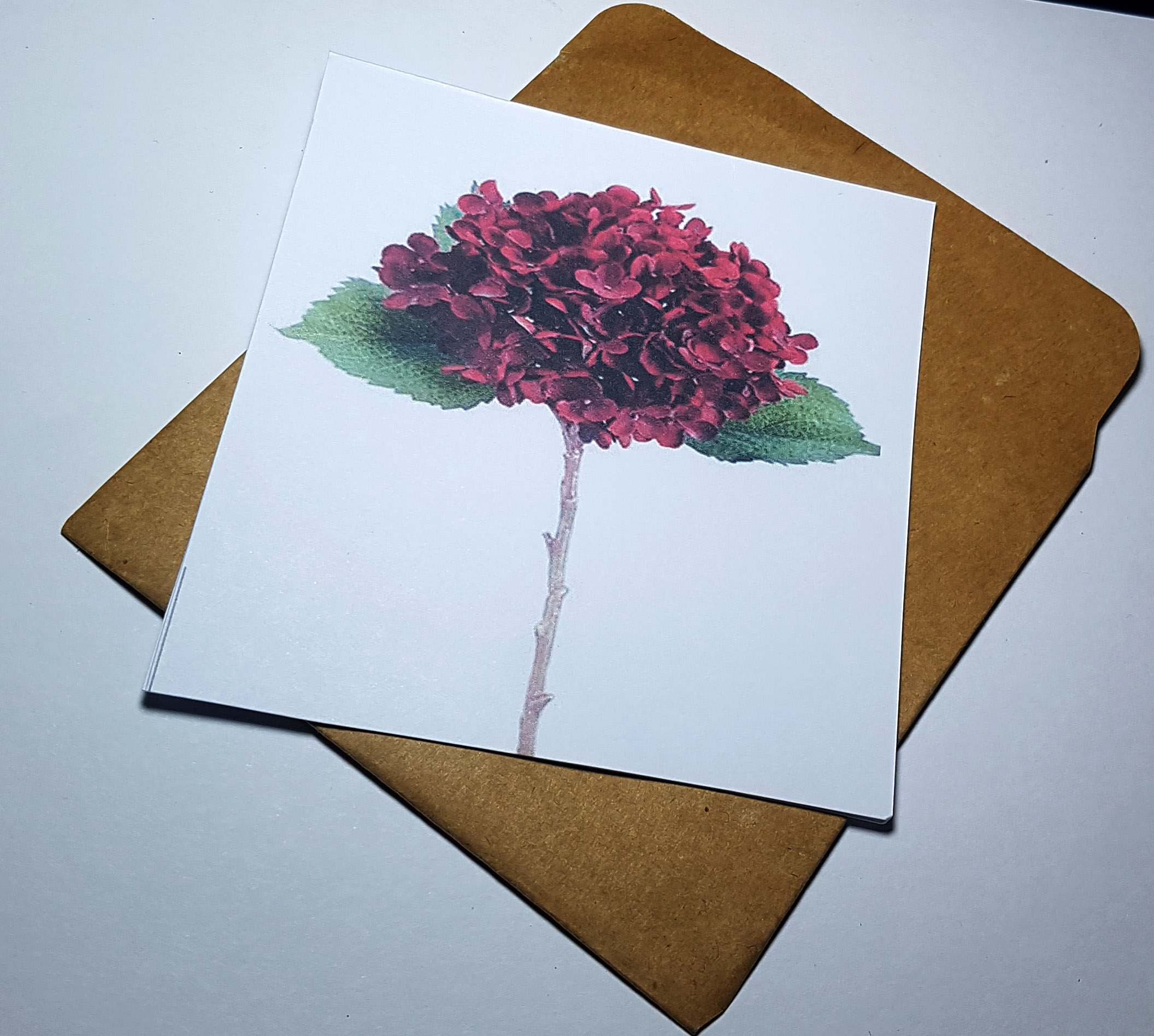 Thiệp phong cách Vintage card quà cám ơn ,chúc mừng sinh nhật và giử tặng người thân yêu.