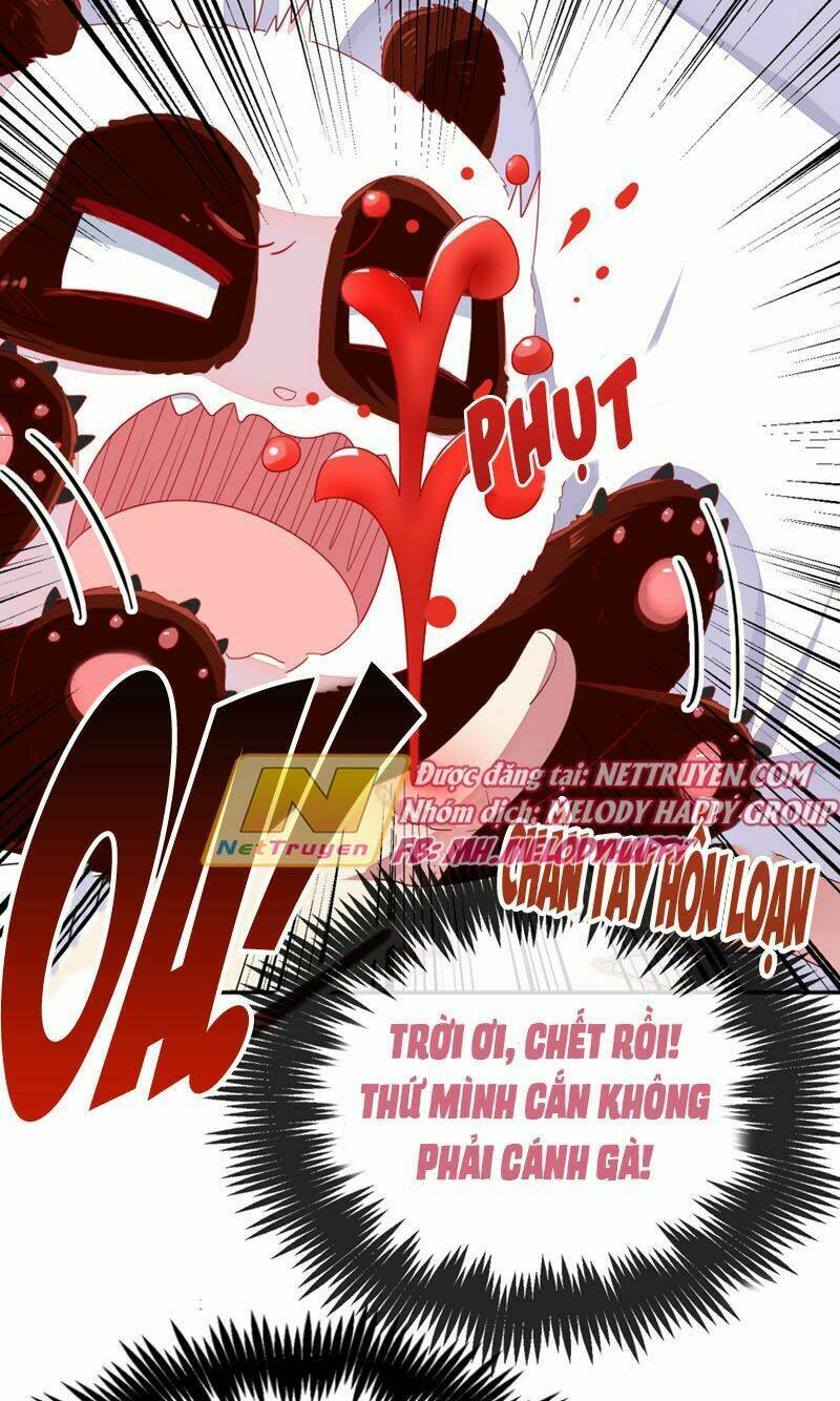 thiên thần gấu trúc muốn được ôm chapter 41 9