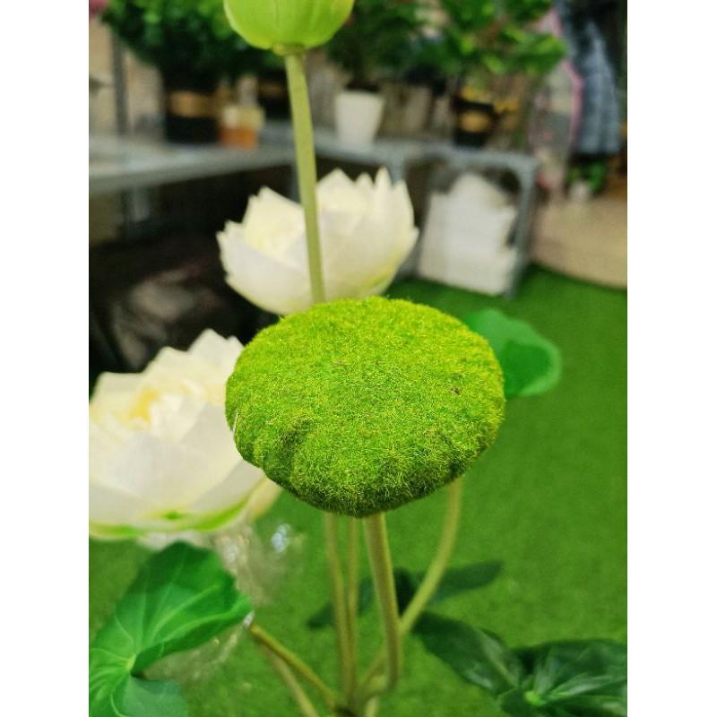 Cành sen giả,sen thái cánh kép cao 77cm,lụa cao cấp, lá in 3D-hoaluaminhhoa