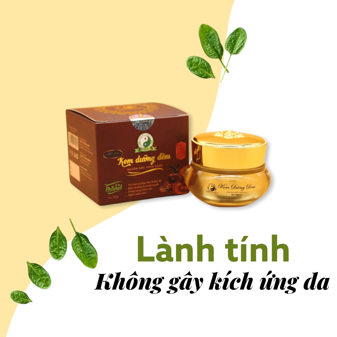 Kem Dưỡng Da Chiết Xuất 100% Thảo Mộc Thiên Nhiên Lành Tính Không Kích Ứng Da Nhiều Dưỡng ẨmThích Hợp Cho Da Dầu Nhờn Nhạy Cảm Khô  Nuôi dưỡng Phục Hồi Da Vào Ban Đêm Giúp Trẻ Hóa Làn Da Ngăn Ngừa Lão Hóa Lọ 25g Bảo Mỹ Xuân