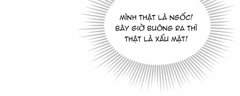 điều giáo quan hệ chapter 23 8