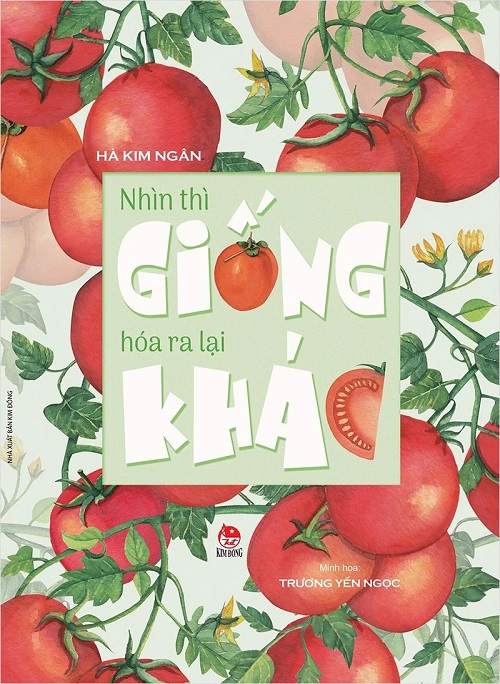 Sách - Nhìn thì giống hóa ra lại khác