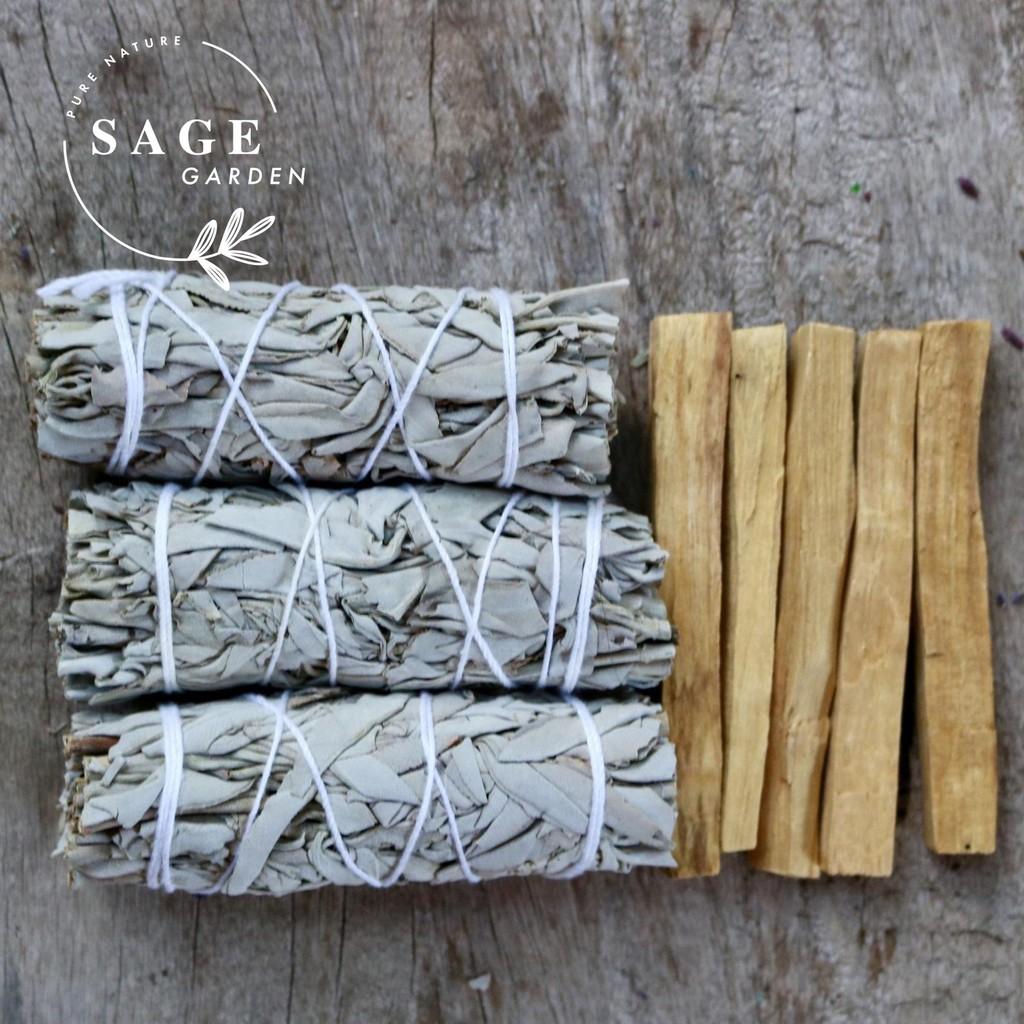 SET KHỞI ĐẦU (1 Xô Trắng 10cm + 1 Palo Peru 7-8gr)_SAGE GARDEN