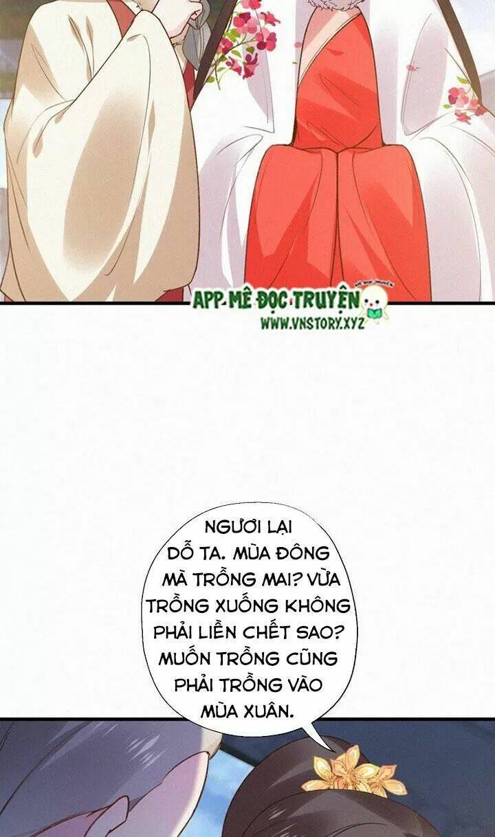 thiên hương mỹ nhân chapter 124 11