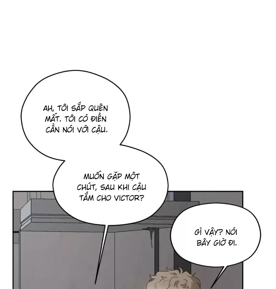 liveta chapter 13 66