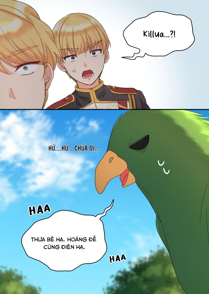 song sinh trọng sinh chapter 49 47