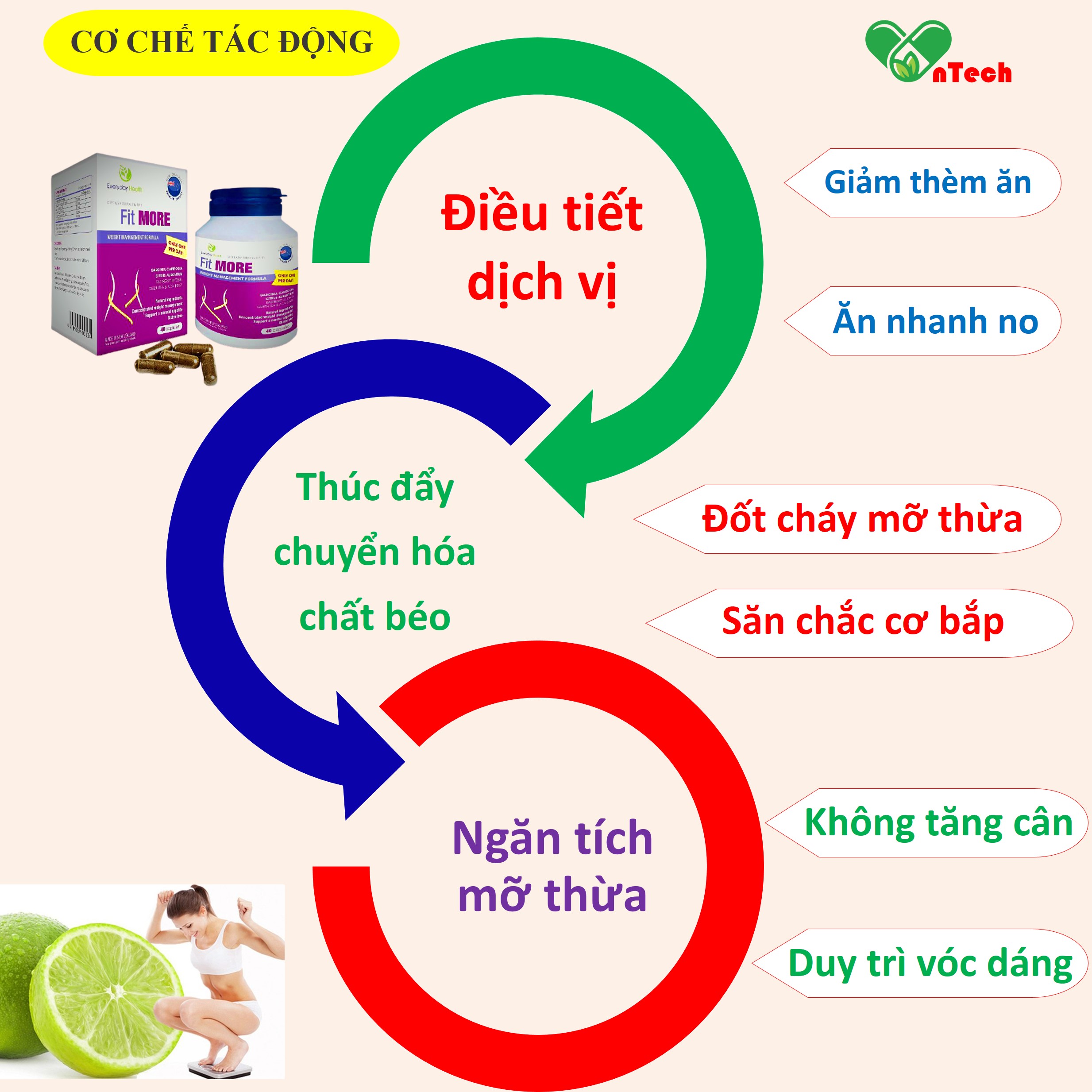 Viên uống giảm cân FIT MORE nhập khẩu New Zealand giảm cân an toàn hiệu quả hộp 40 viên