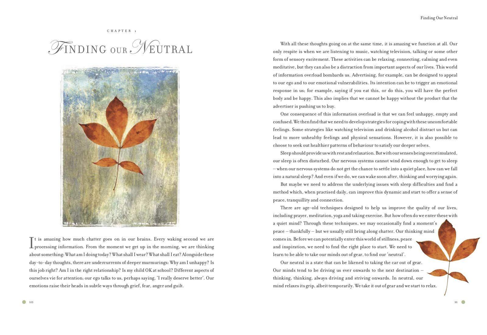 Sách - Dynamics of Stillness : Develop Your Senses and Reconnect with Nature Throu by Ian Wright