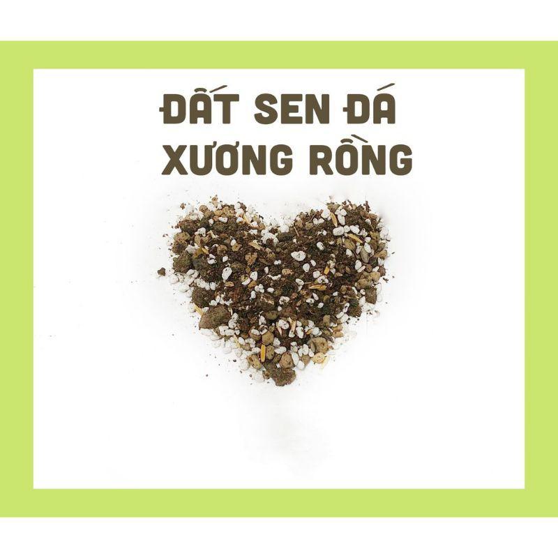 200g Đất Trộn Cao Cấp trồng Sen Đá , Xương Rồng