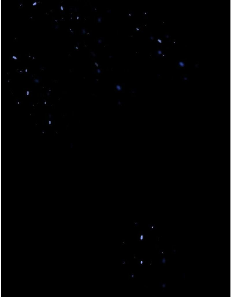 baba đẹp trai trên trời rơi xuống chapter 21 14